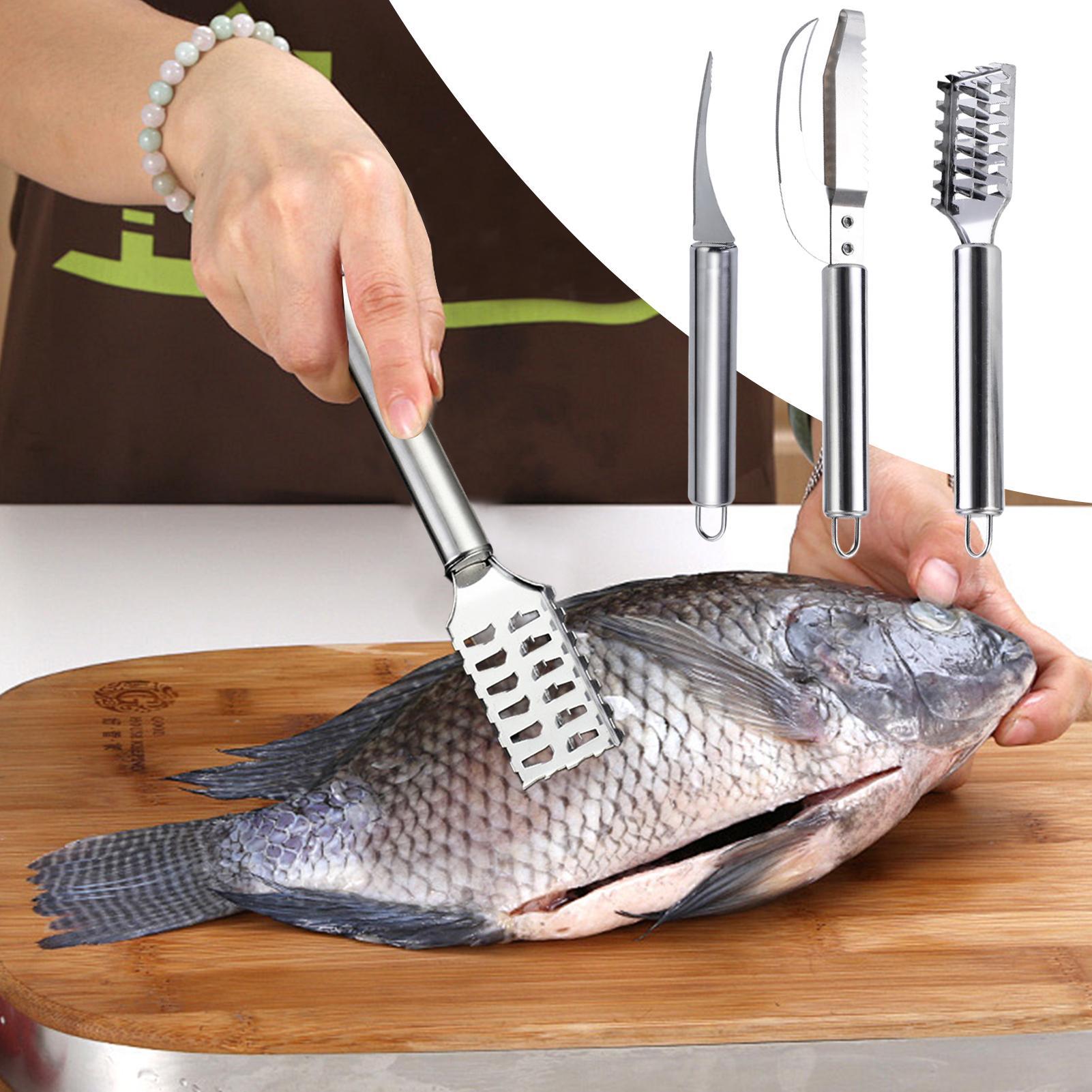 มีดขูดเกล็ดปลา ที่ขูดเส้นกุ้ง  - Commercial Kitchen Cleaning บทวิจารณ์และราคา