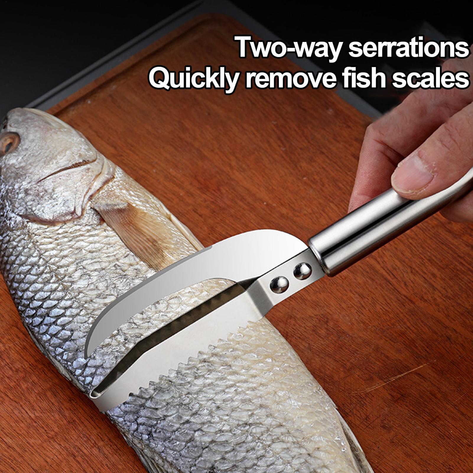 มีดขูดเกล็ดปลา ที่ขูดเส้นกุ้ง  - Commercial Kitchen Cleaning บทวิจารณ์และราคา